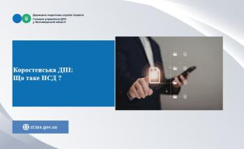 Коростенська ДПІ: Що таке НСД ?
