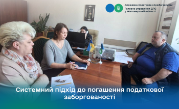 Системний підхід до погашення податкової заборгованості